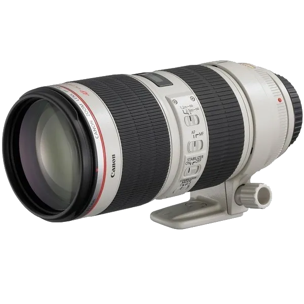 Ремонт объективов Canon EF 70-200 f/2.8L USM в сервисном центре FIX-Canon